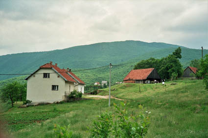 eika image